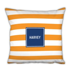 Awning Stripe-38 Pillow